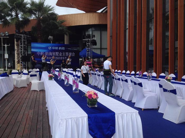 活動(dòng)執(zhí)行