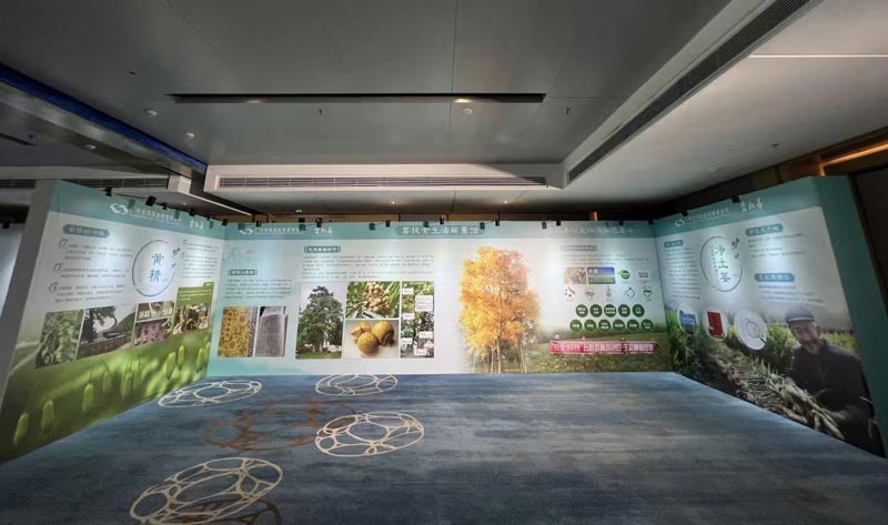 品牌全案策劃怎么寫-品牌營銷全案策劃的內(nèi)容包