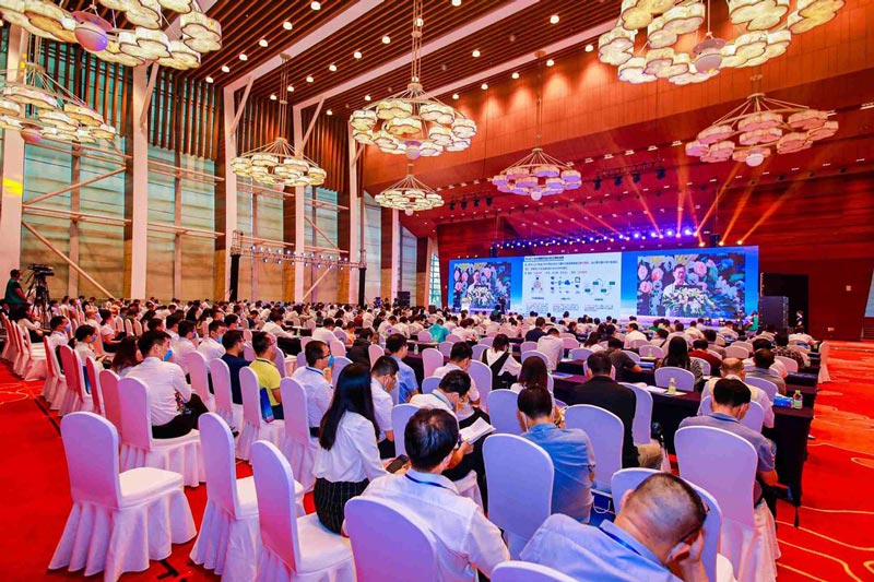 會議主持稿怎么寫-會議活動(dòng)手稿的通用模板